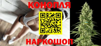 гашик Кинель
